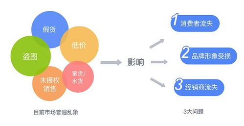 渠道防竄貨管理系統開發 企業軟件項目管理的關鍵實踐與價值